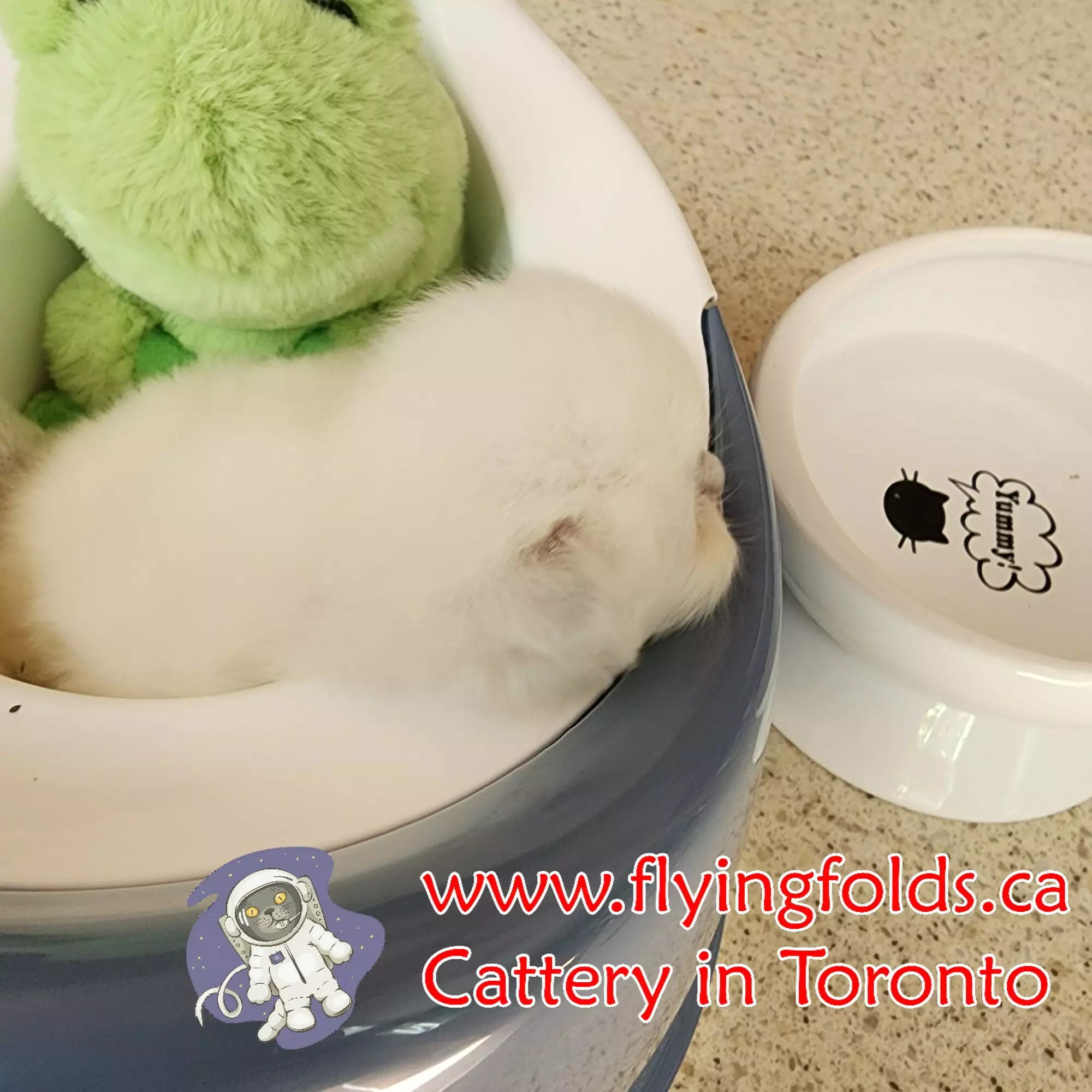 Casper photo 5