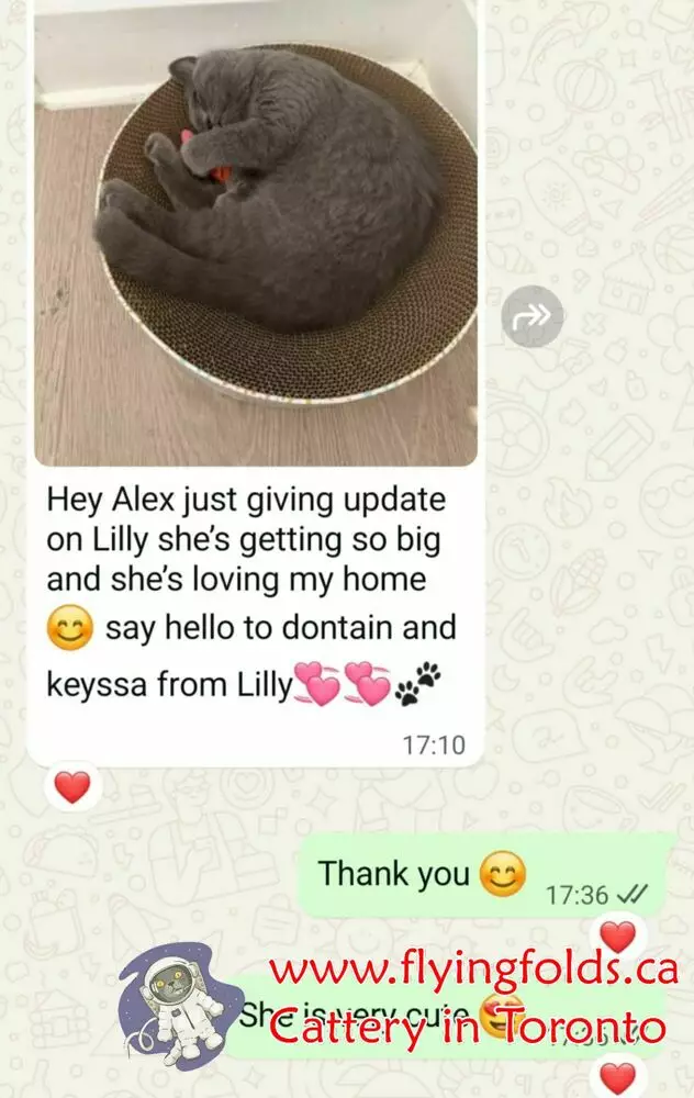 Lilly